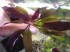 copy_950_copy_101_DSC01267.jpg