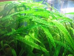 copy_974_copy_433_copy_850_copy_906_Изображение-319.jpg
