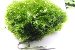 Изображение 2249.jpg