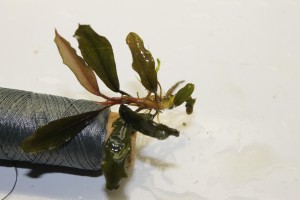 Изображение 2256.jpg