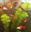 20150130_180205.jpg