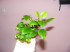 DSCF9912.JPG