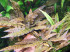 DSCF9963.JPG
