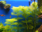 DSCF9966.JPG