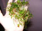 DSCF9977.JPG