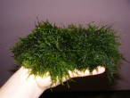 DSCF9979.JPG