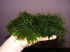 DSCF9979.JPG