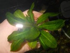 DSCN0020.jpg