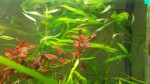 DSCN0261.jpg