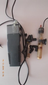 DSCN0368.jpg