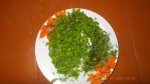 DSCN0405.jpg