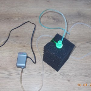 DSCN0420.jpg