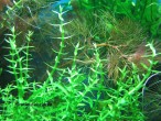 IMG_8325a.jpg