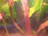 copy_150_copy_937_002.jpg