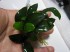 copy_224_004.jpg
