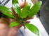 copy_32_0102.jpg