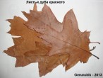 copy_351_copy_617_copy_928_DSC05659.jpg