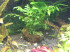 copy_744_DSCN3815.jpg