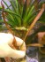 copy_968_copy_6_copy_180_copy_796_copy_264_copy_77_copy_898_copy_611_copy_865_DSCN2164.jpg