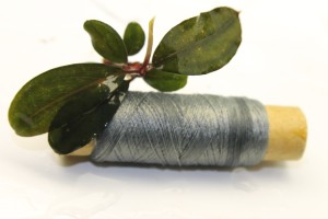 Изображение 2377.jpg