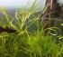 20150130_180209.jpg