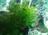 20150204_200722.jpg