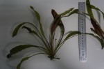 DSC04888.JPG
