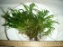 DSC05620.JPG