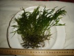 DSC05621.JPG