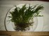 DSC05621.JPG