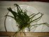 DSC05623.JPG