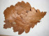 DSC05660.JPG