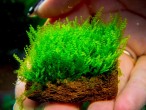 DSCF2302.jpg