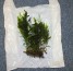 DSCF6545.JPG