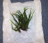DSCF6549.JPG