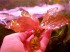 DSCN0055.jpg