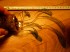 DSCN0057.jpg