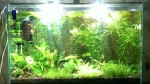 IMAG0364.jpg