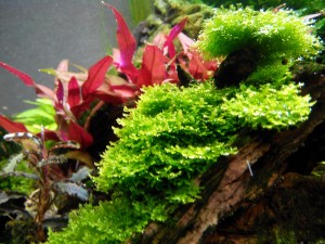 IMG_20150208_194016.jpg