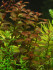 P2020139.JPG