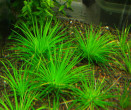 PC030005.JPG