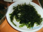PICT3354.JPG