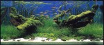 akvaskeypyi-konkursa-iaplc-2002-mesto-1-full.jpg