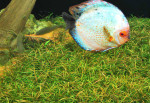 copy_274_565165411.jpg