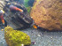 copy_356_copy_657_copy_432_copy_369_2014-11-26-20.41.32.jpg