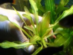 copy_40_DSC01192.jpg