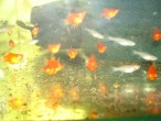 copy_877_DSC00986.jpg
