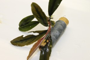 Изображение 2429.jpg