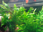 2015-03-22 14.13.45.jpg