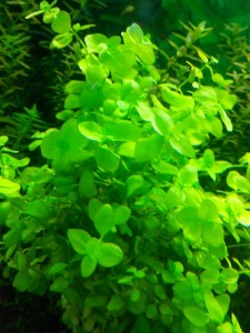 2015-03-29 16.57.15.jpg